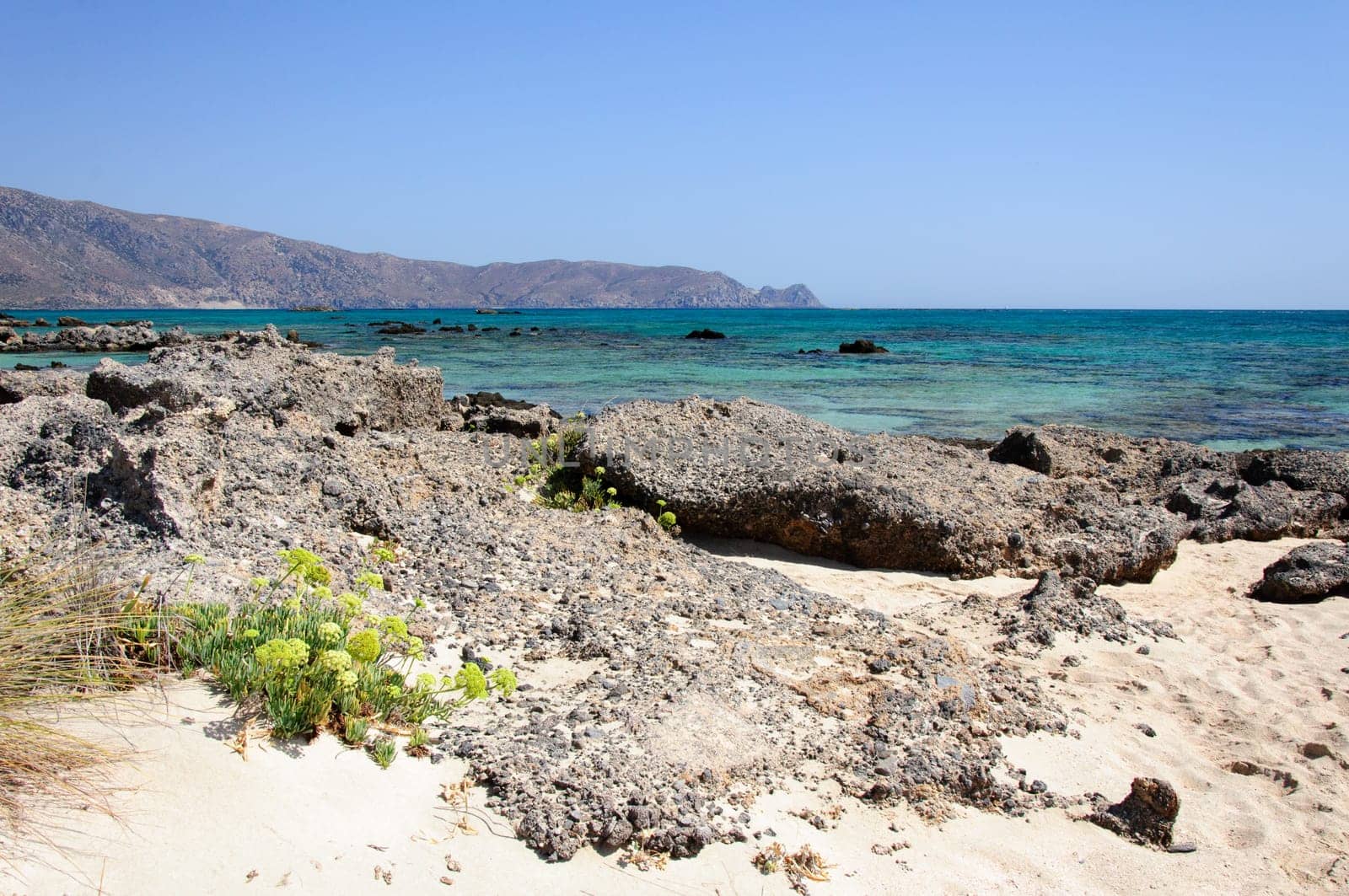 Elafonisi or Elafonissi, "deer island"" in Greek, is an island located close to the southwestern corner of the Mediterranean island of Crete, Greece. Elafonisi is an oblong, which often ""breaks"" in two parts by water giving the impression of being a separate island. The island is a protected nature reserve."