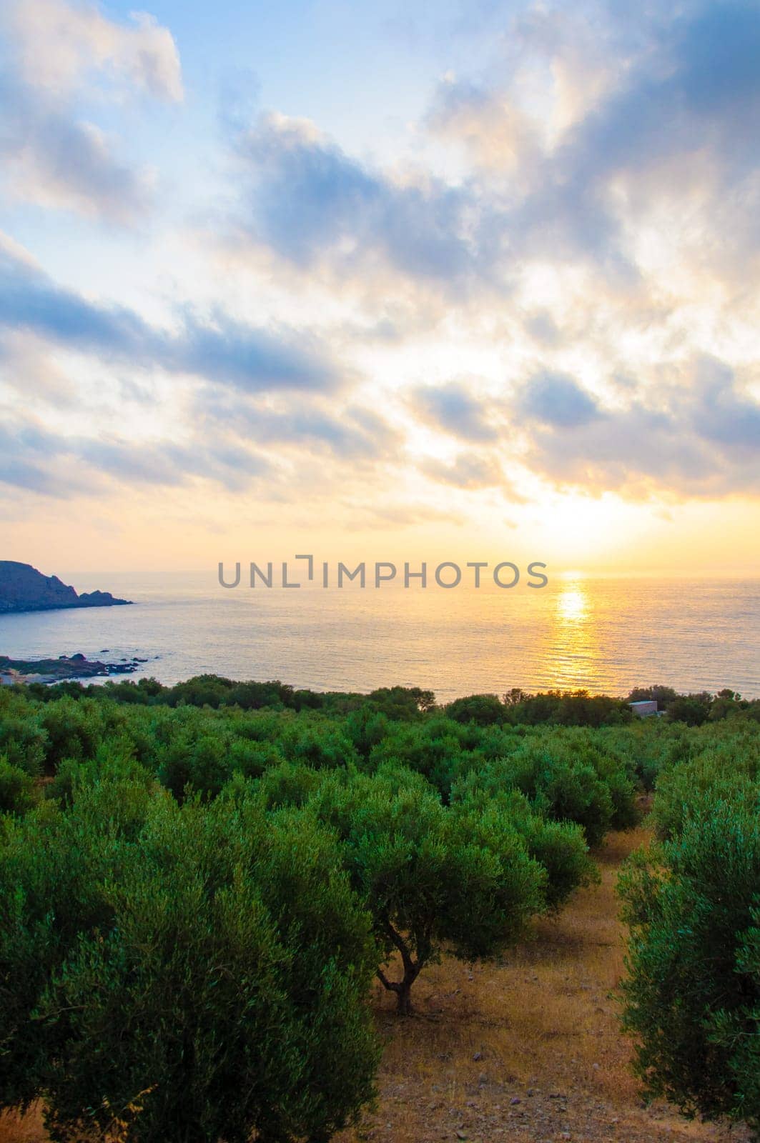 Wide view of a Cretan landscape, island of Crete,  Greece