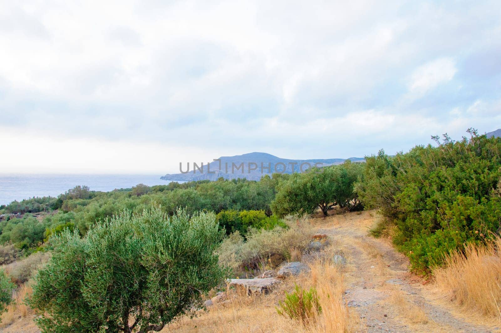 Wide view of a Cretan landscape, island of Crete,  Greece