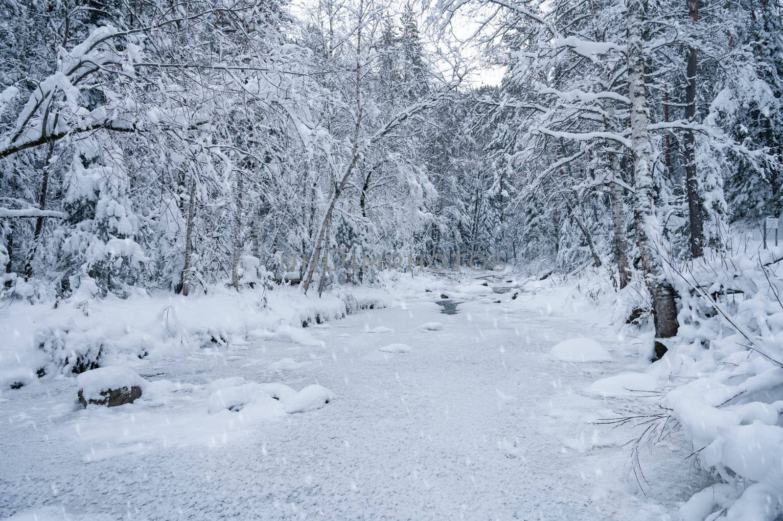 Beauty winter landscape with fair trees and river under the snow.