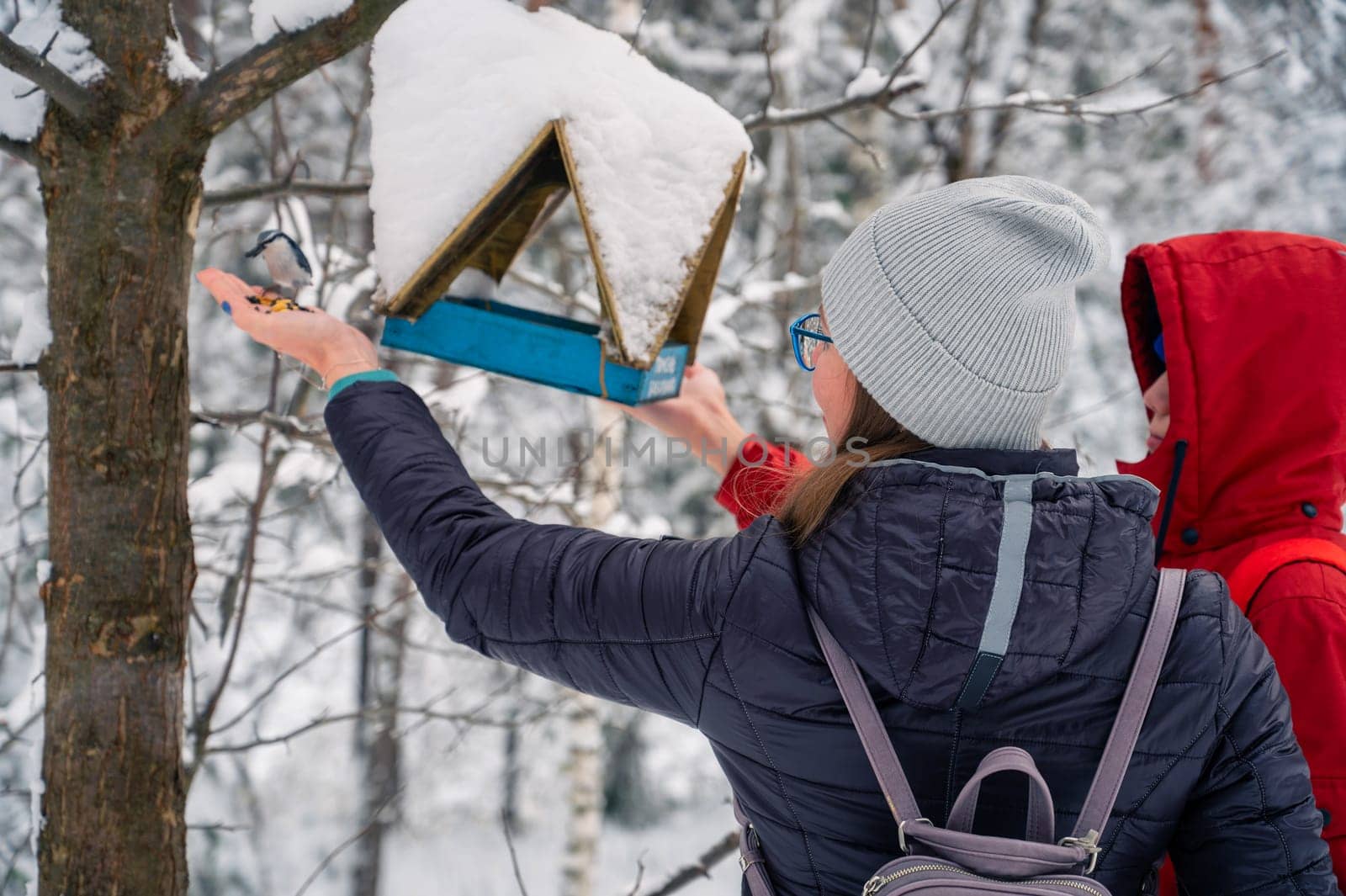 Woman in winter jacket feeding birds by rusak