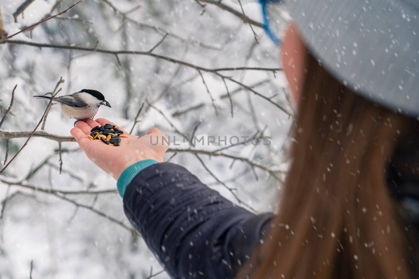 Woman in winter jacket feeding birds in snowy winter forest, snowy winter day.