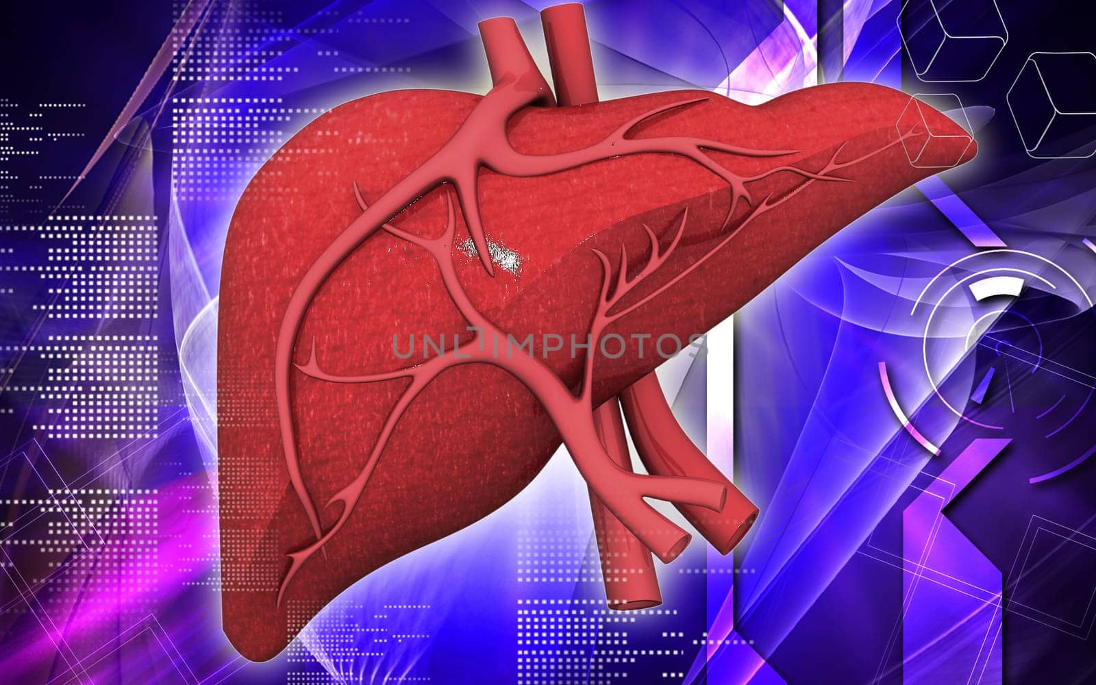 Digital illustration of liver in colour background