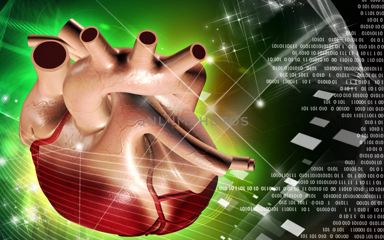 Digital illustration of heart in colour background