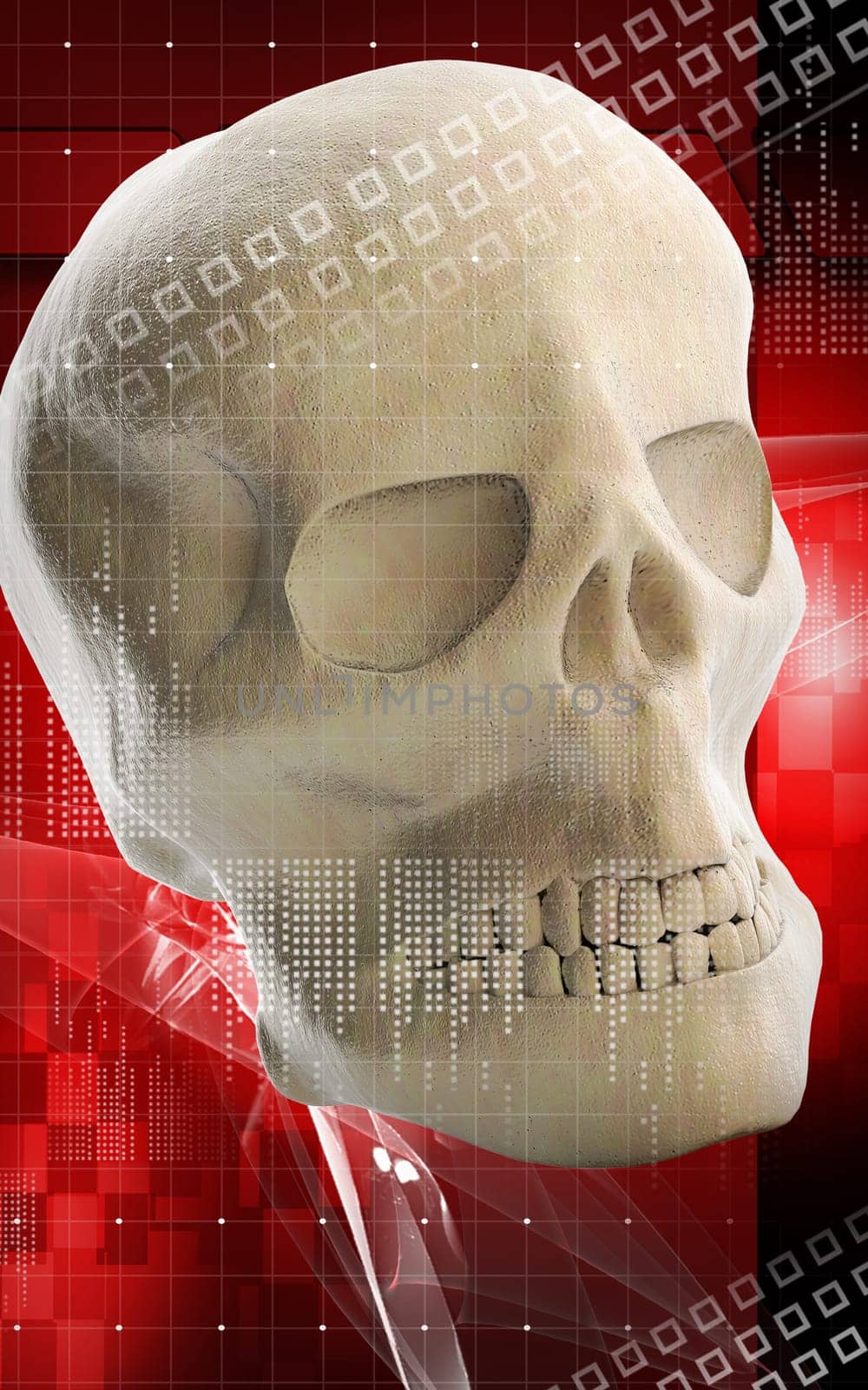 Digital illustration of Human skull in colour background
