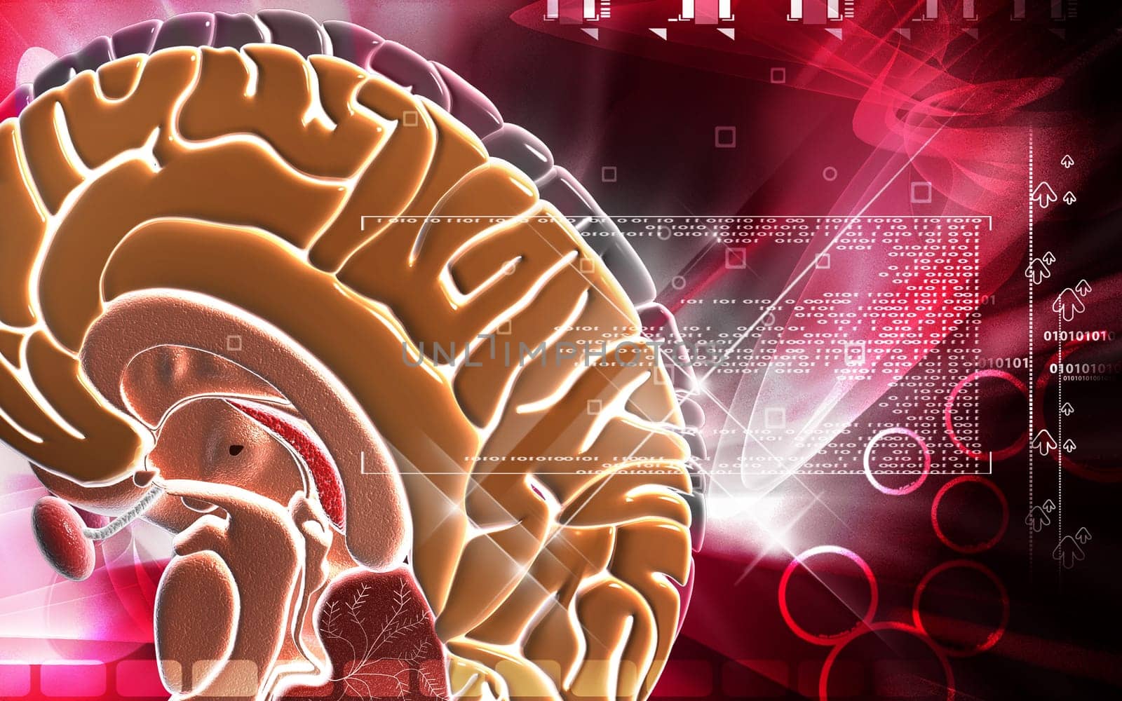 Digital illustration of brain in colour background