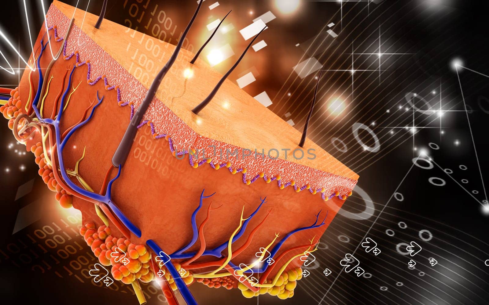 Digital illustration of Skin in colour background