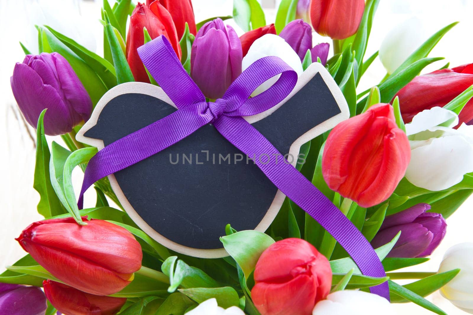 Fresh colorful tulips with small table in the shape of a bird