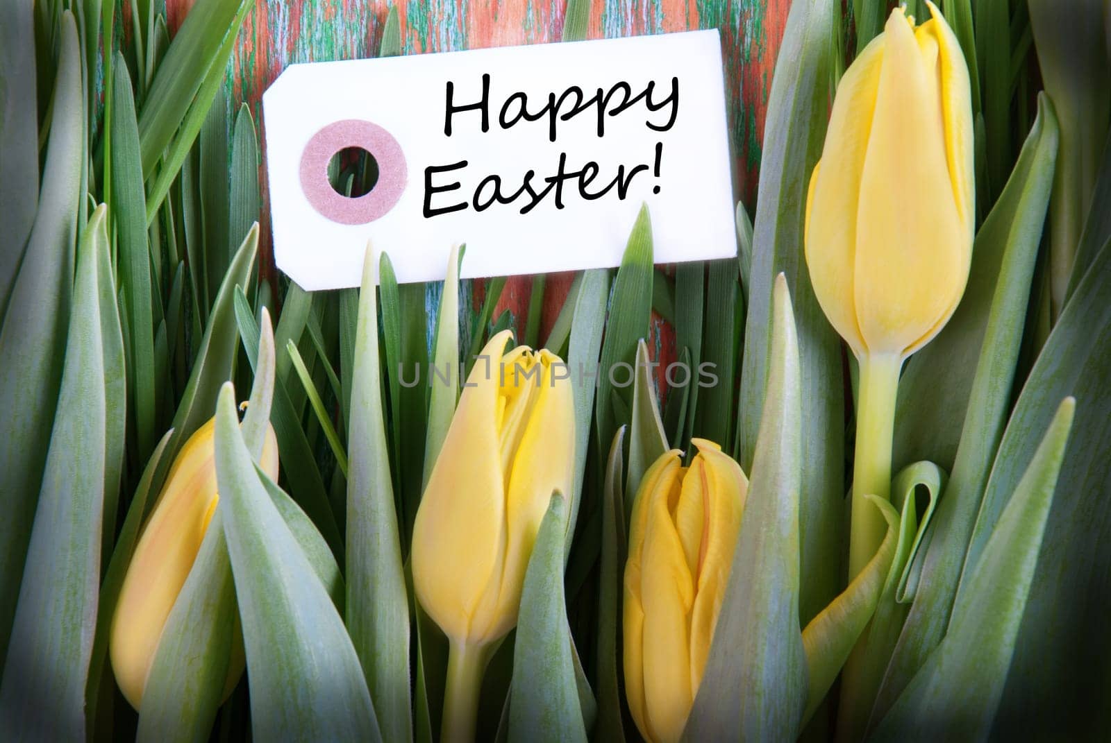 Easter Background with a Label with Easter Greetings and Yellow Tulips