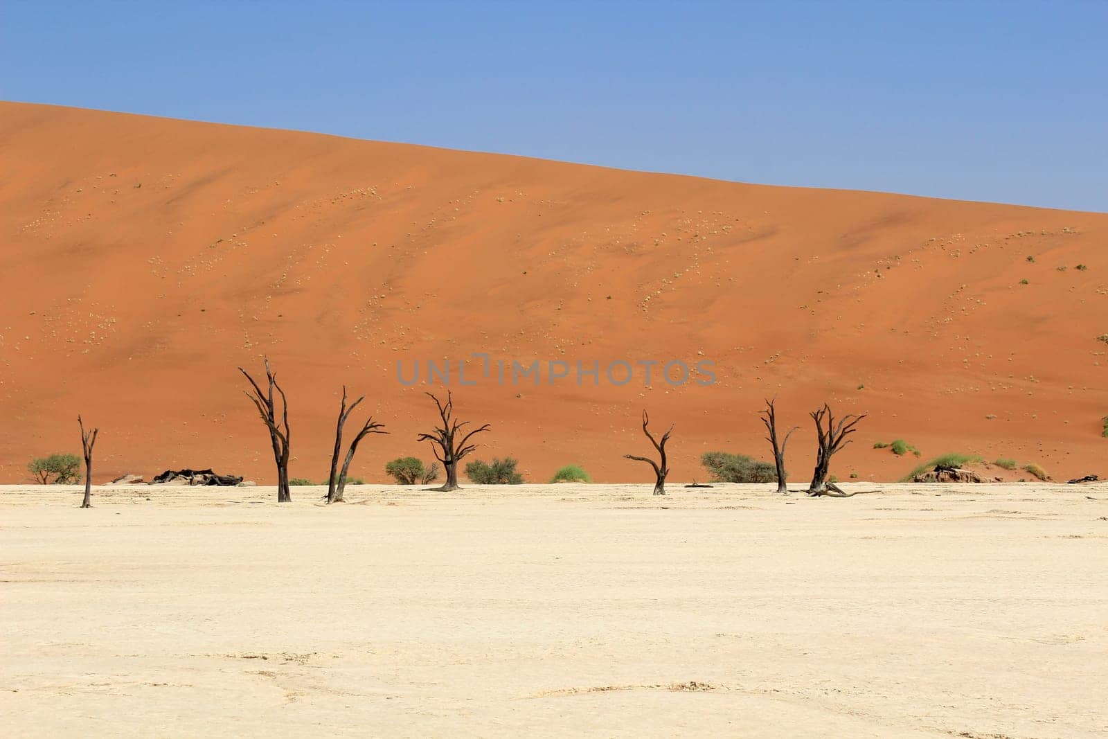 Sossusvlei dead valley landscape in the Nanib desert near Sesriem, Namibia