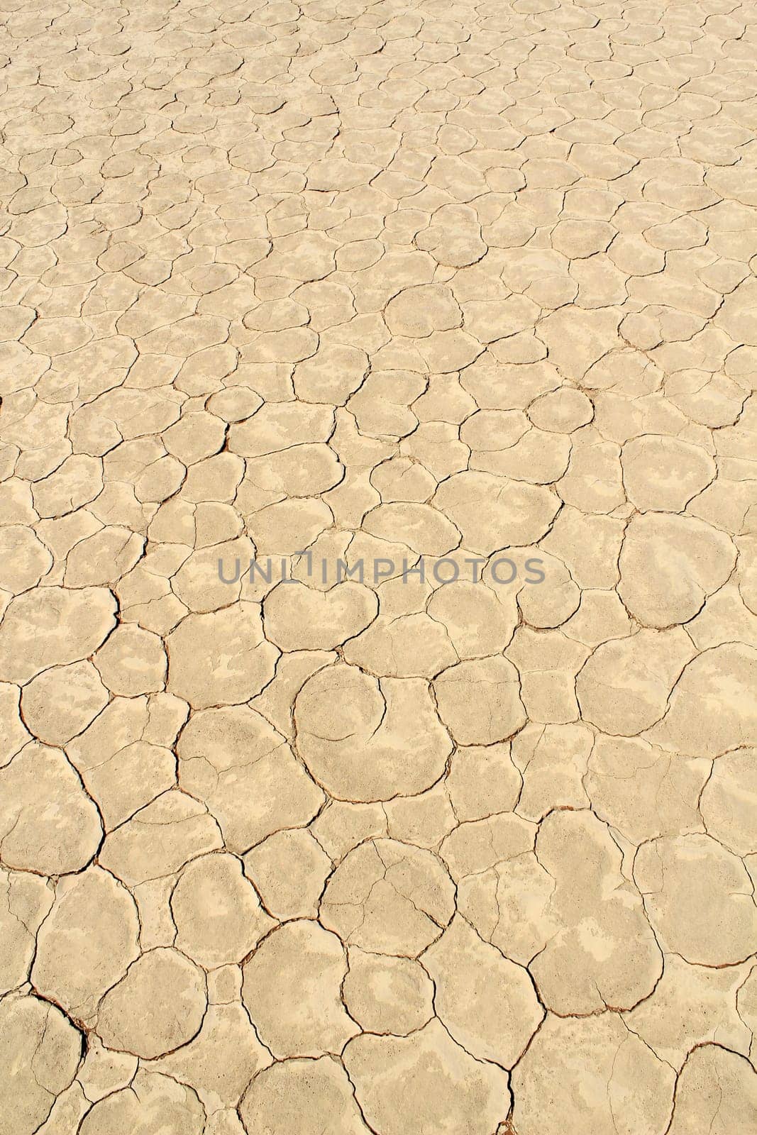 Soil detail of a dry pan, in the Sossusvlei sand dunes, Namib desert. Namibia
