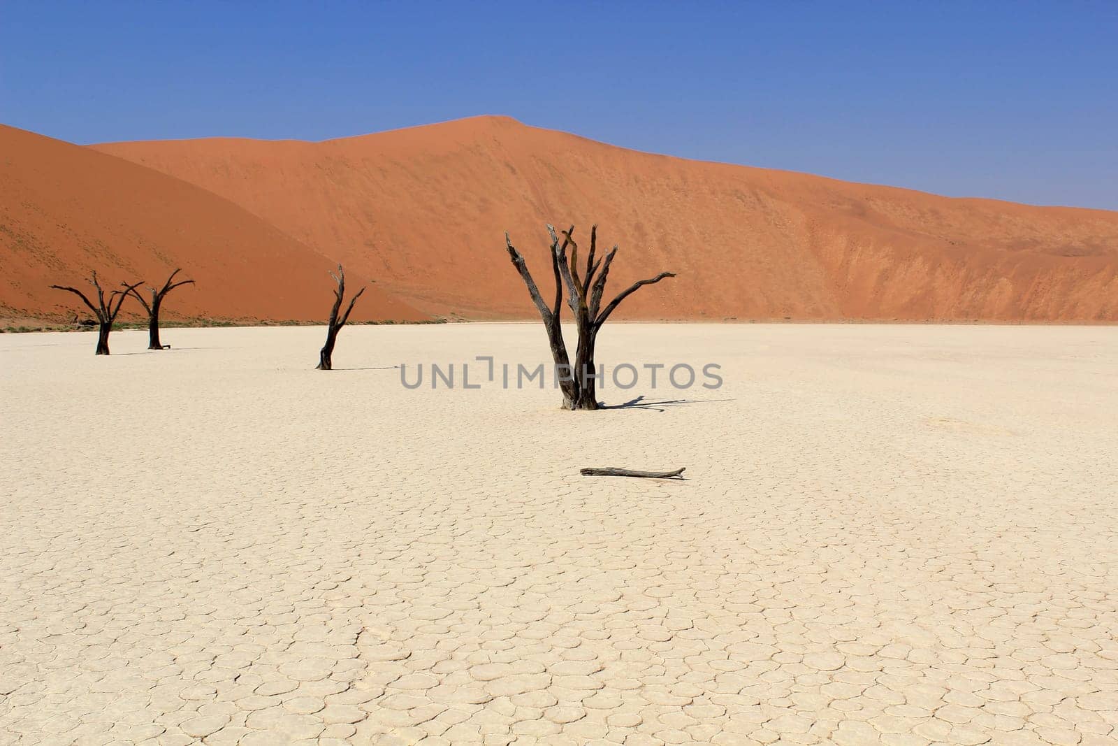 Sossusvlei dead valley landscape in the Nanib desert near Sesriem, Namibia
