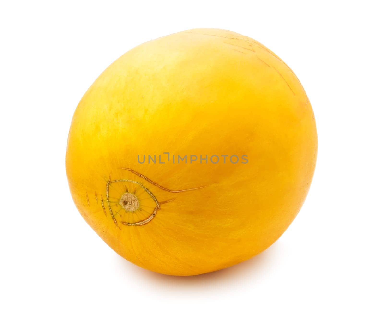 Fresh juicy melon isolated on white background