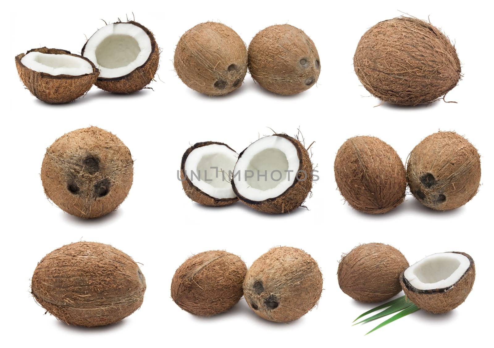 Collection of fresh coconuts isolated on white background