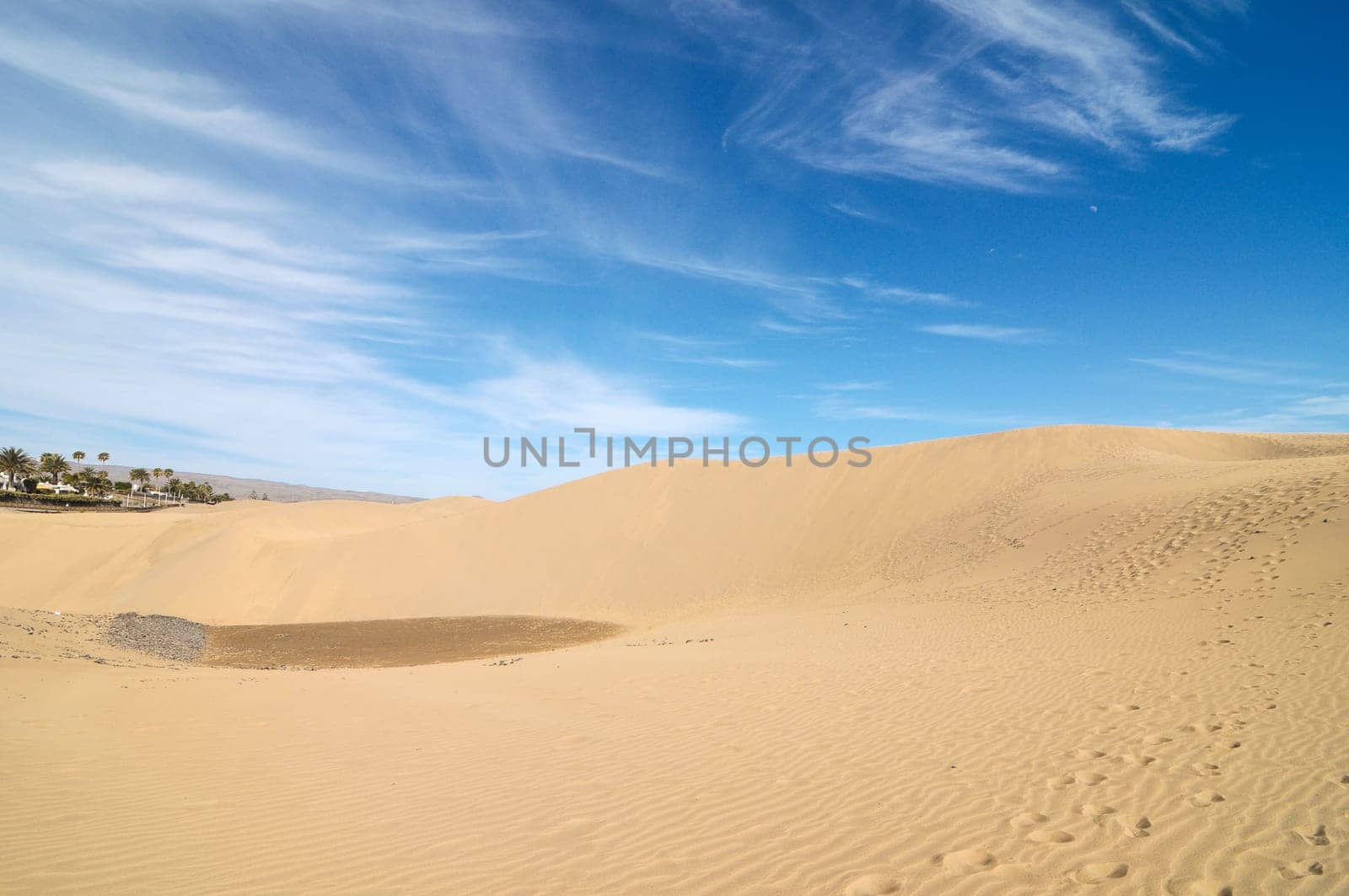 Texture Sand Dune Desert in Gran Canaria Island Spain