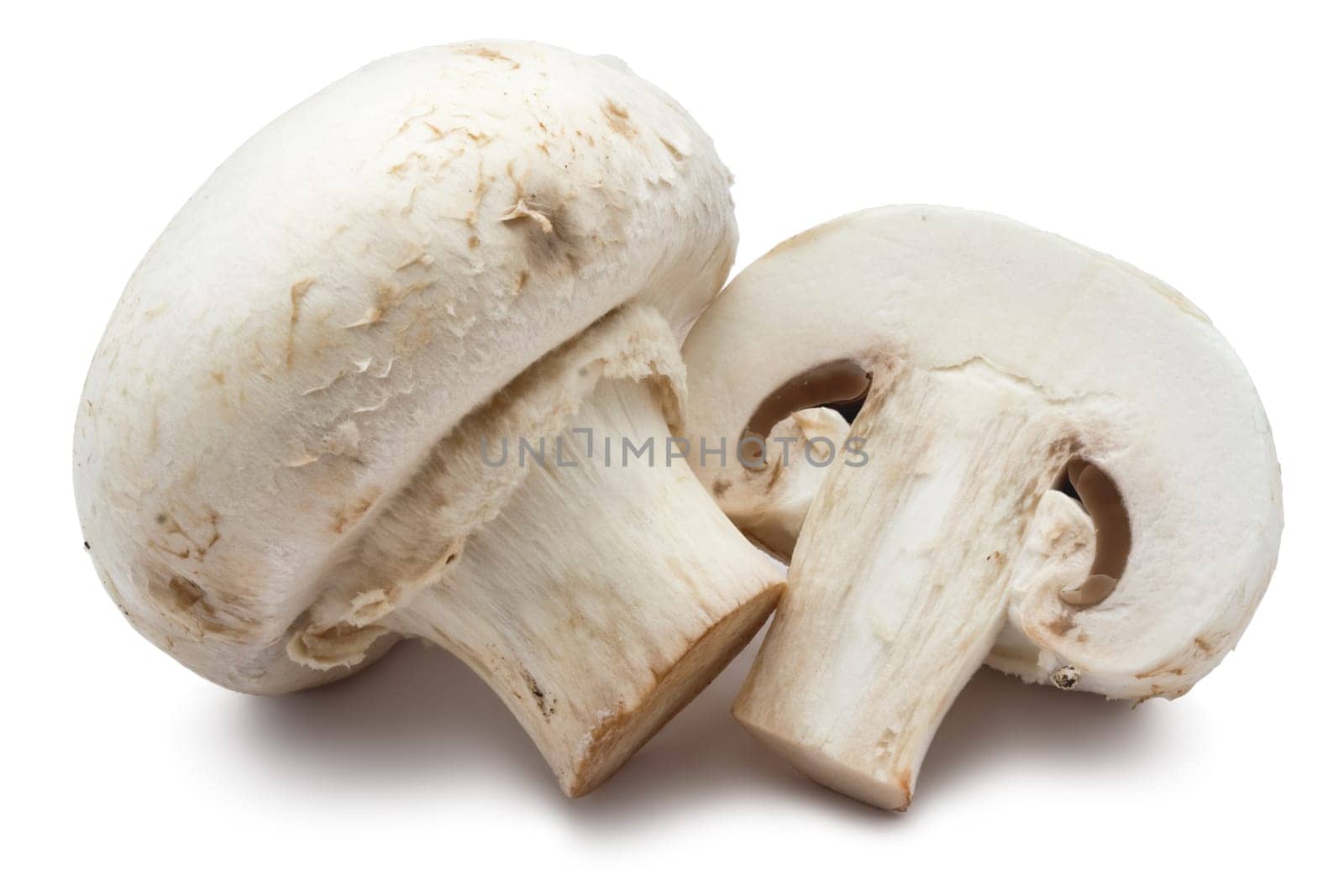 Fresh champignon mushrooms isolated on white background