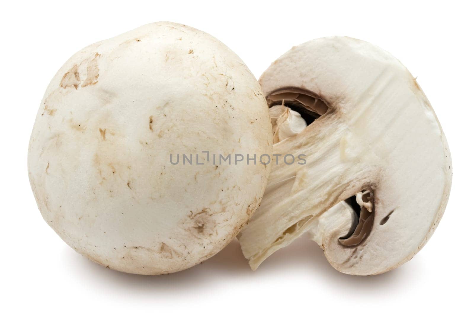 Fresh champignon mushrooms isolated on white background