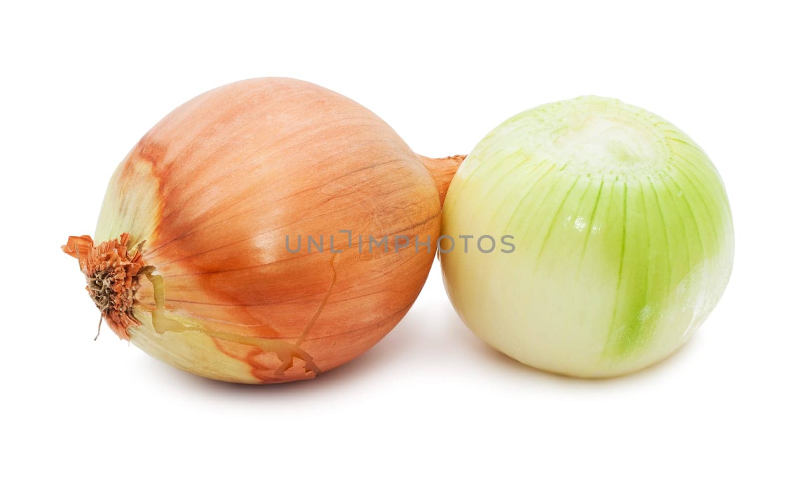 Fresh golden onion isolated on white background