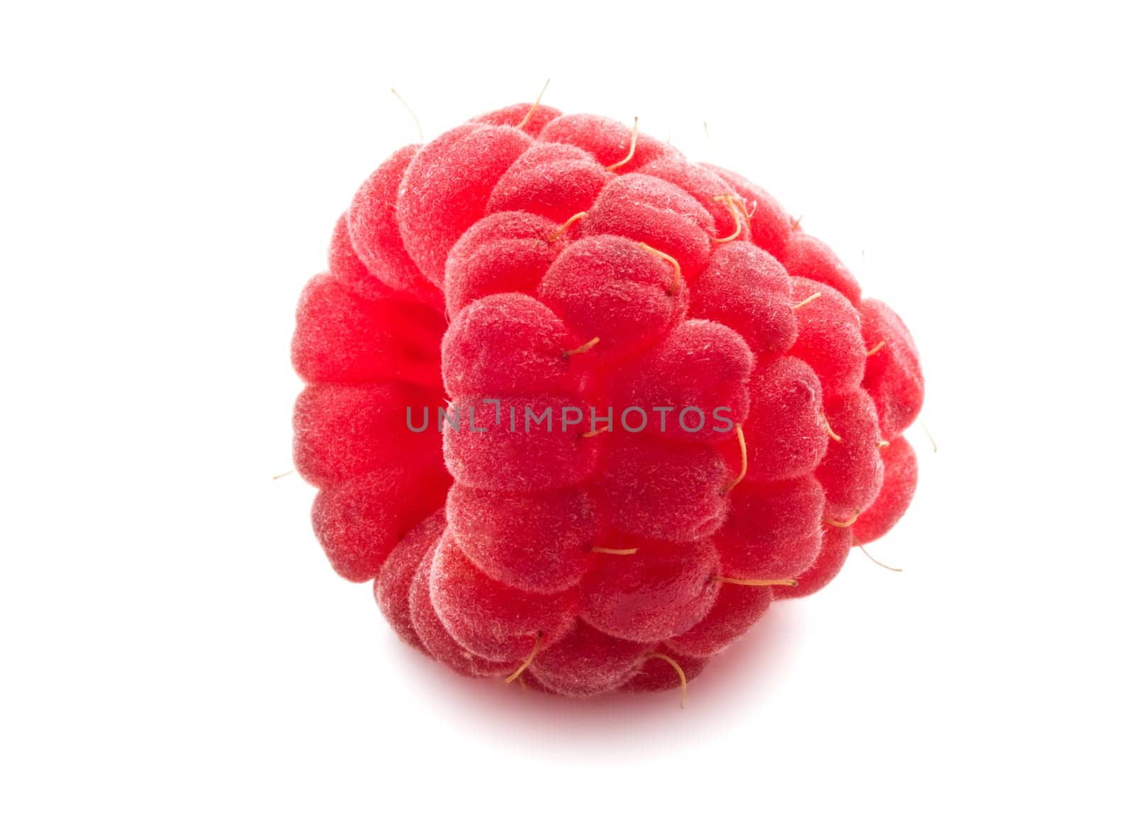 Ripe red raspberry isolated on white background