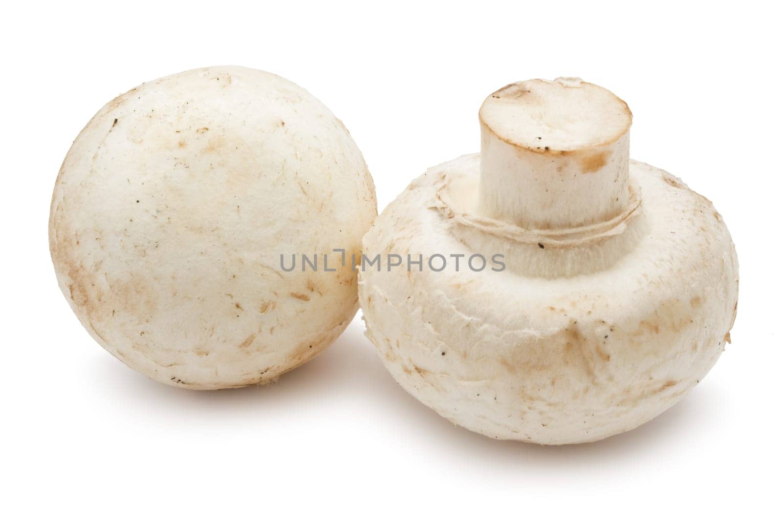 Fresh champignon mushrooms isolated on white background