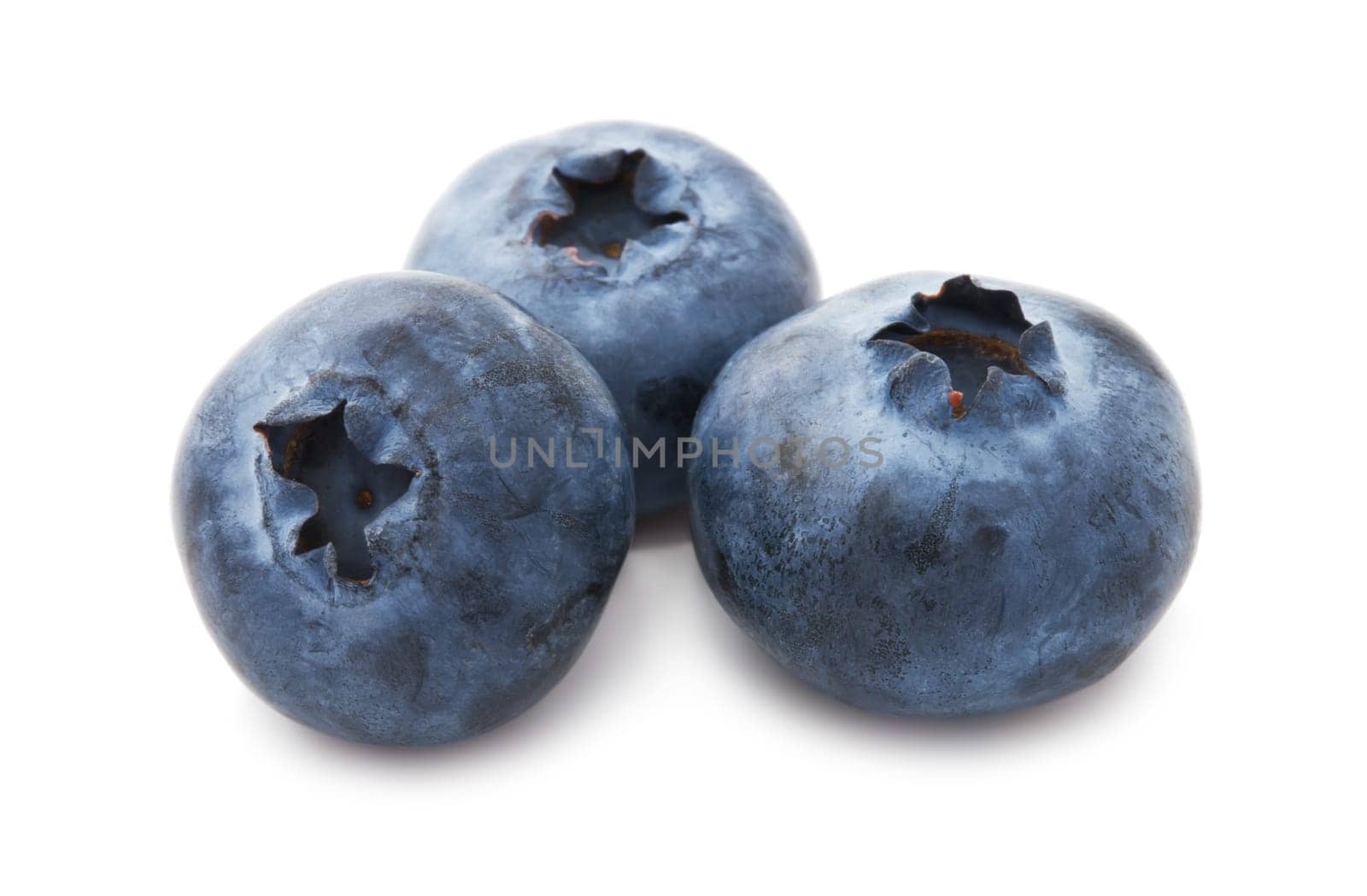 Fresh blueberry or bilberry  isolated on white background