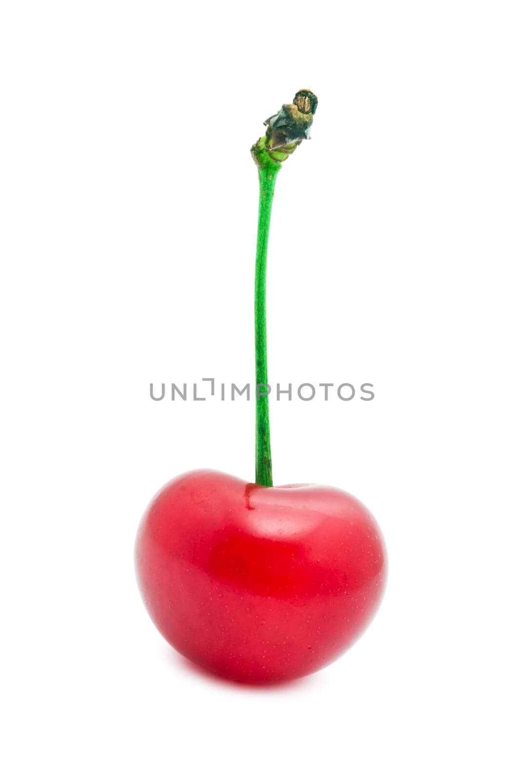 Red cherry isolated on white background