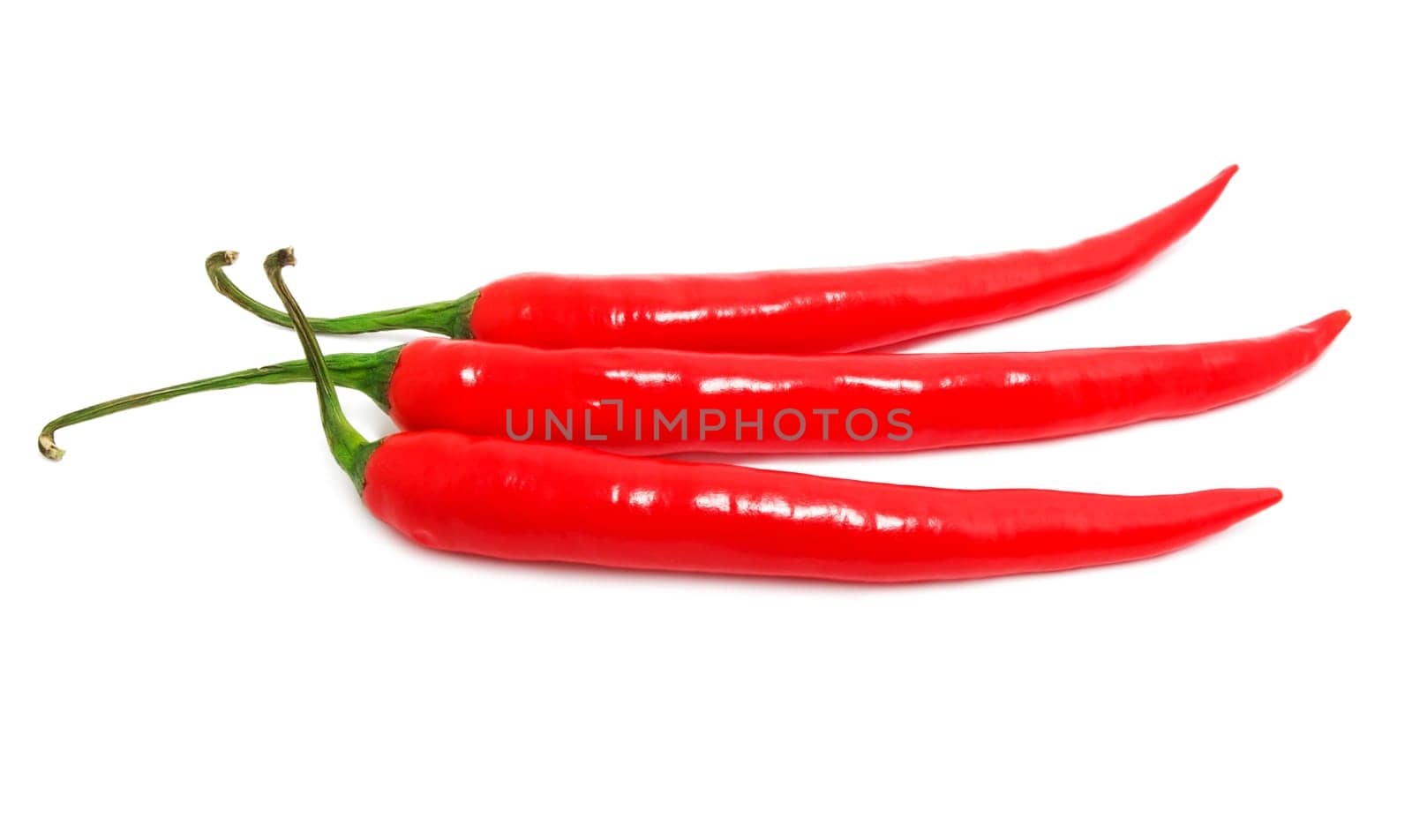Hot chili pepper isolated on white background