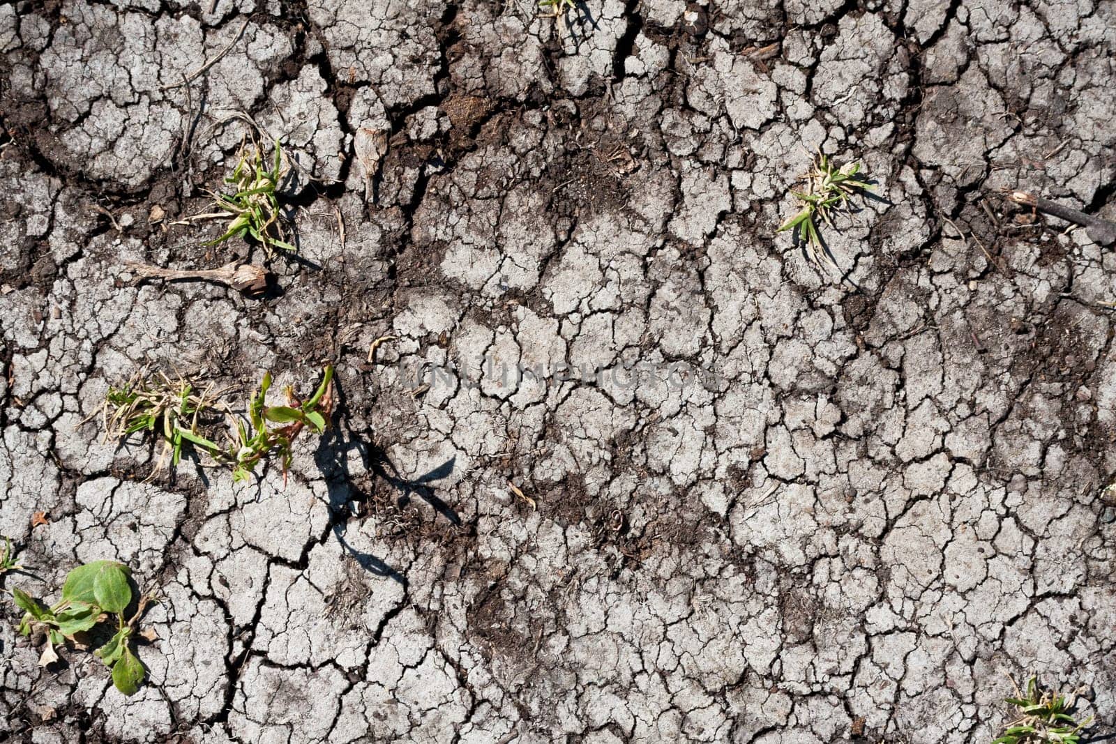 Land with dry cracked ground texture background