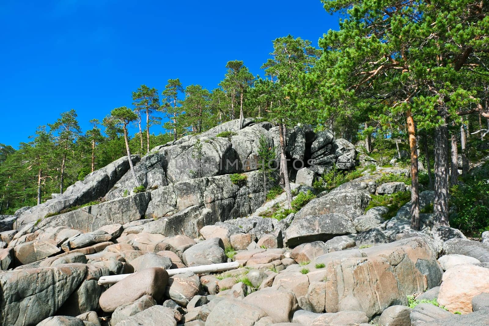 Nice photo of sea coast in summer