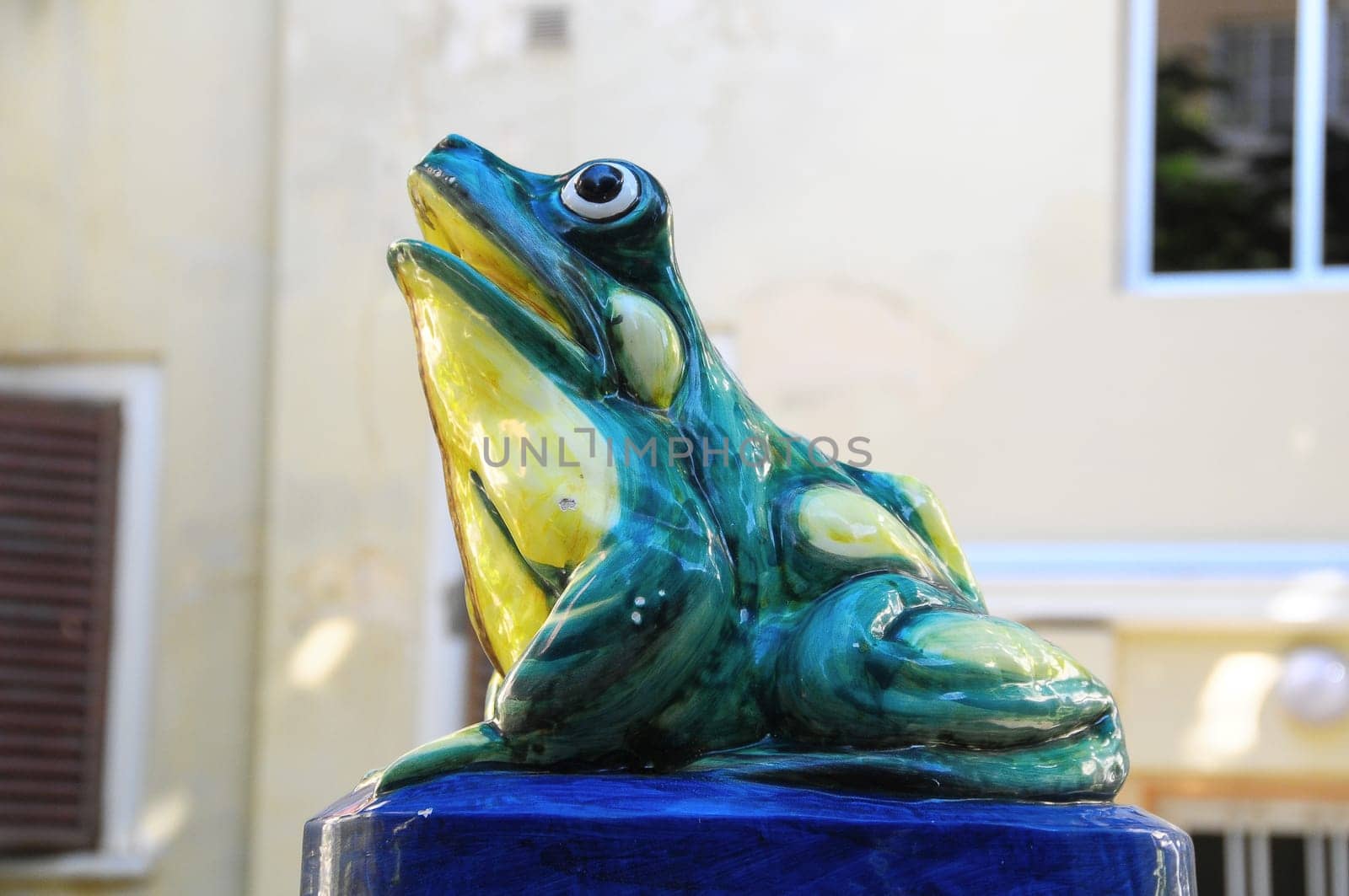 Green Fountain Frog on an Urban Garden