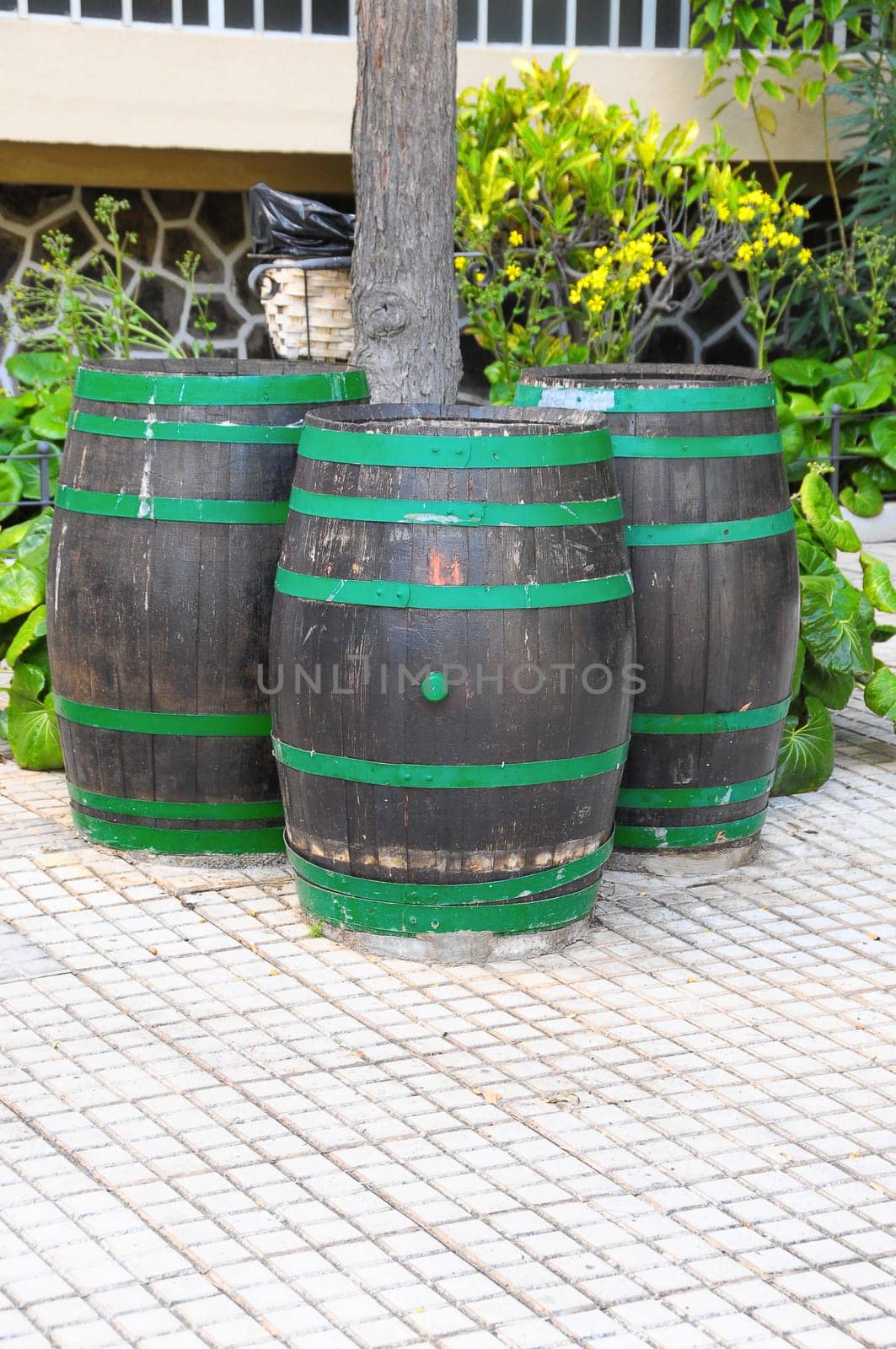 Decorative Old Wooden Barrel on an Urban Garden