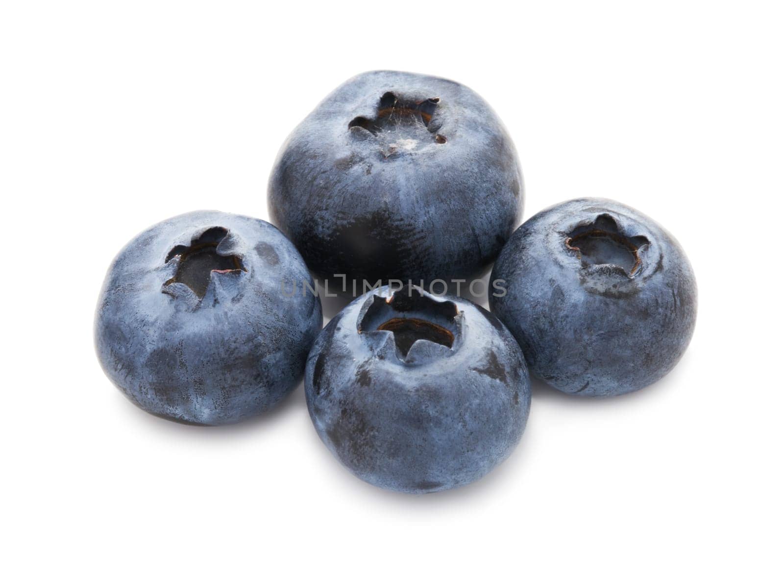 Fresh blueberry or bilberry  isolated on white background