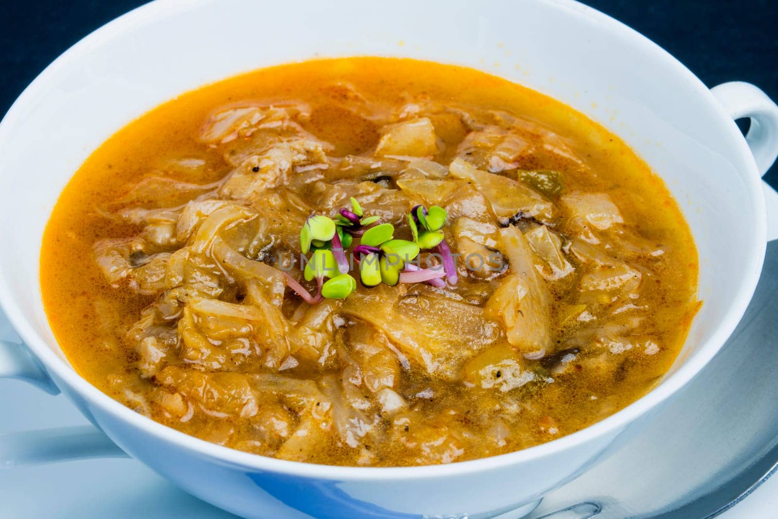 Solyanka,Russian soup