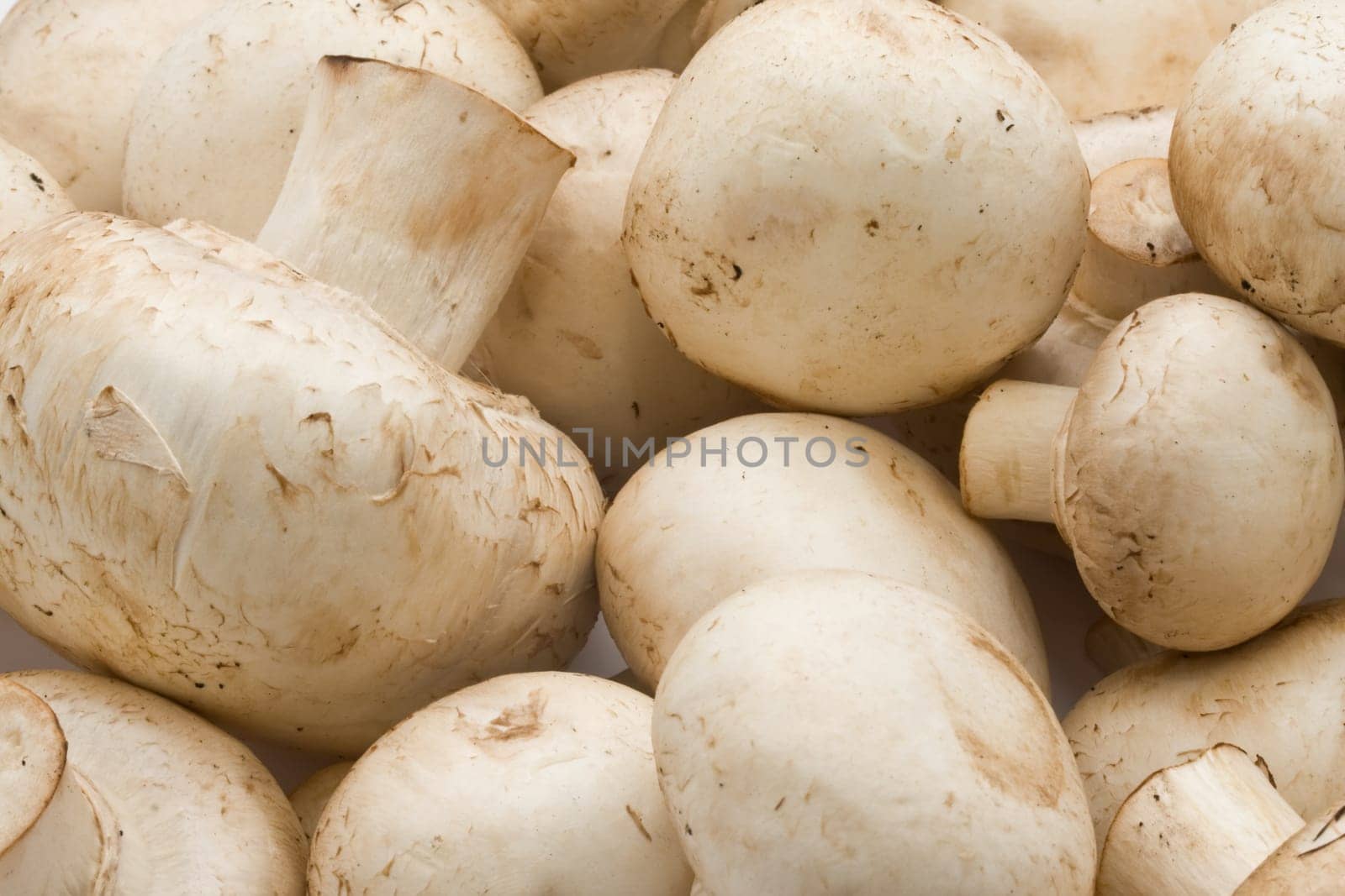 Champignon mushrooms making raw food pattern background