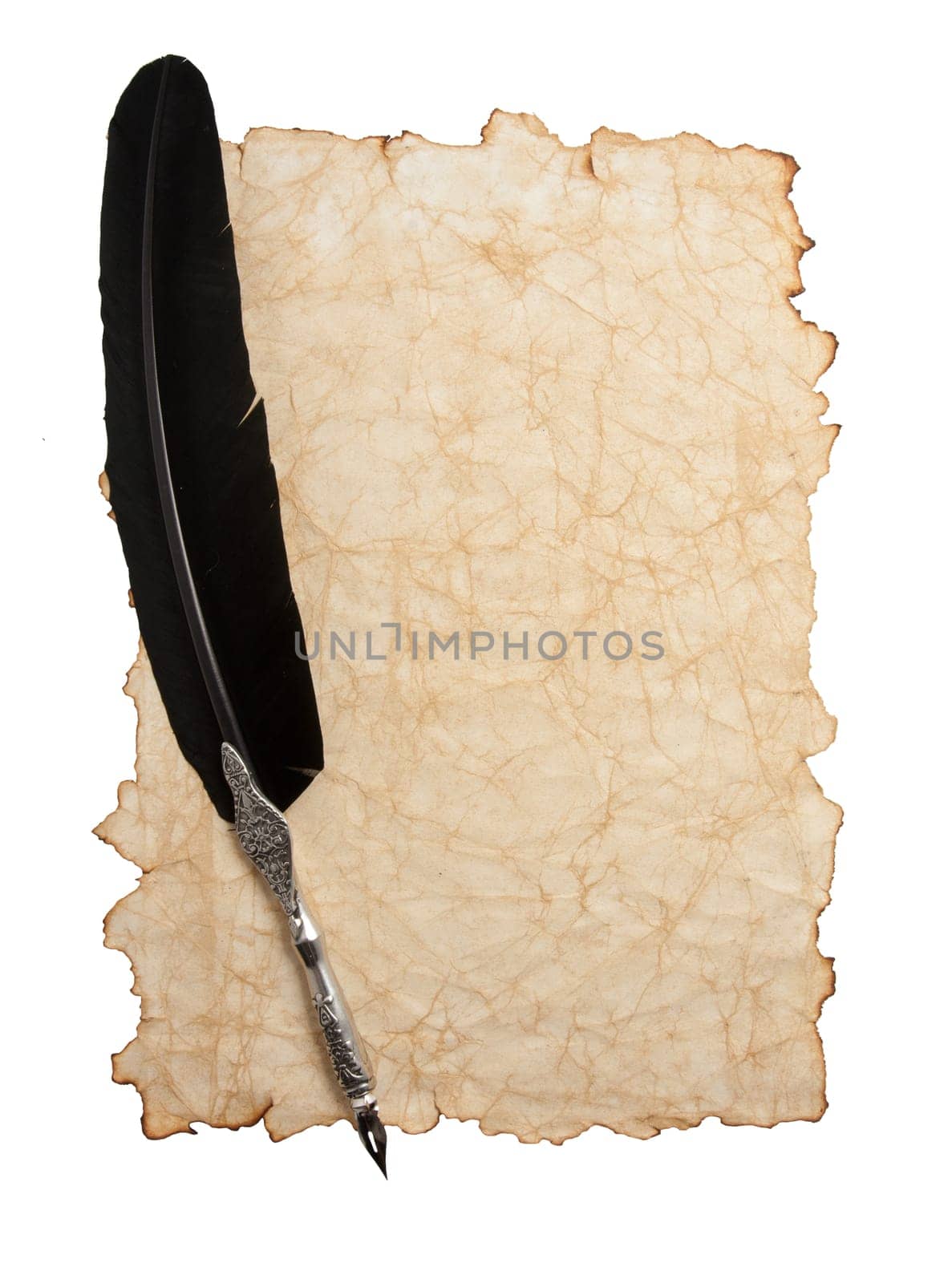 Feather pen and ink bottle on old paper background