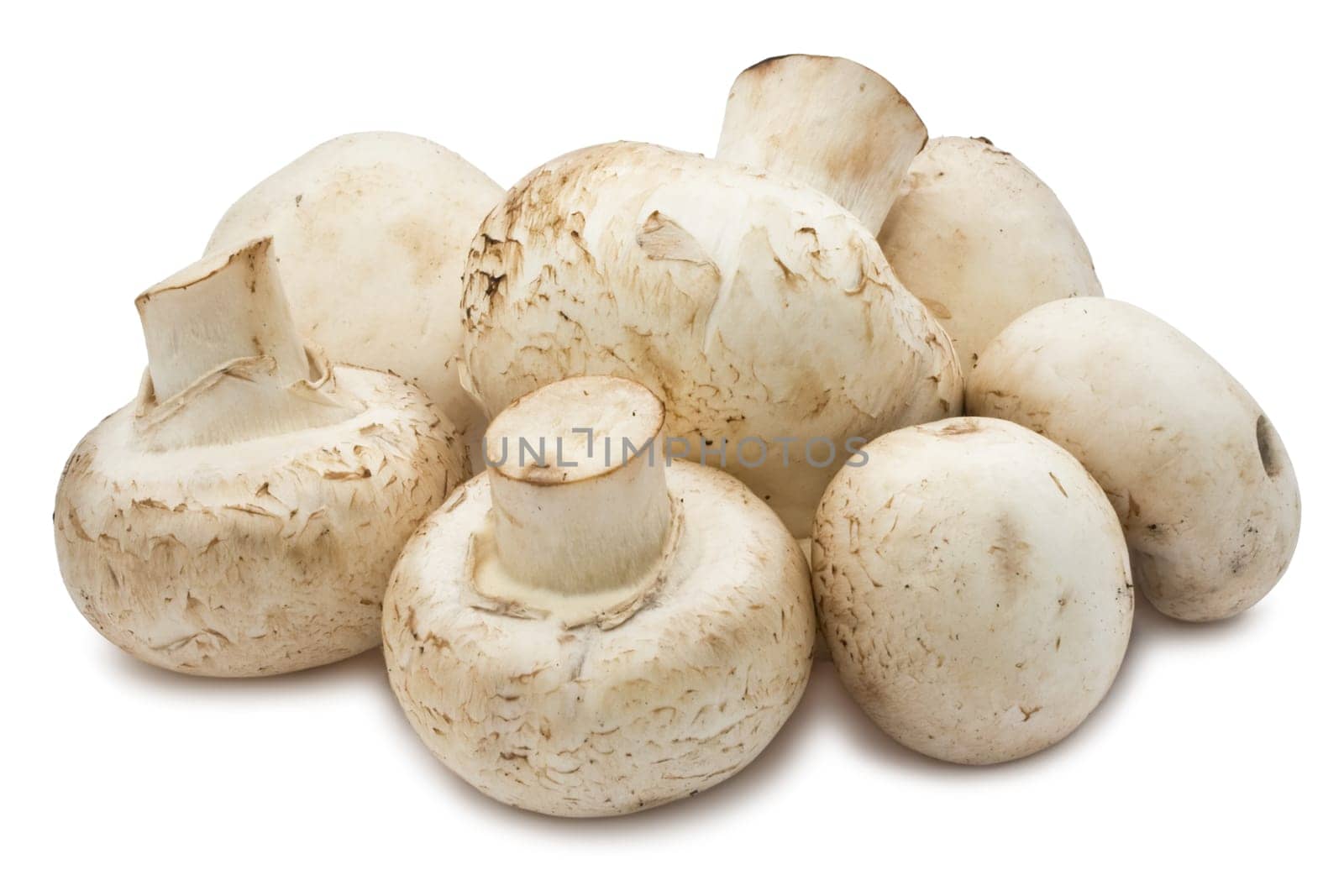 Fresh champignon mushrooms isolated on white background
