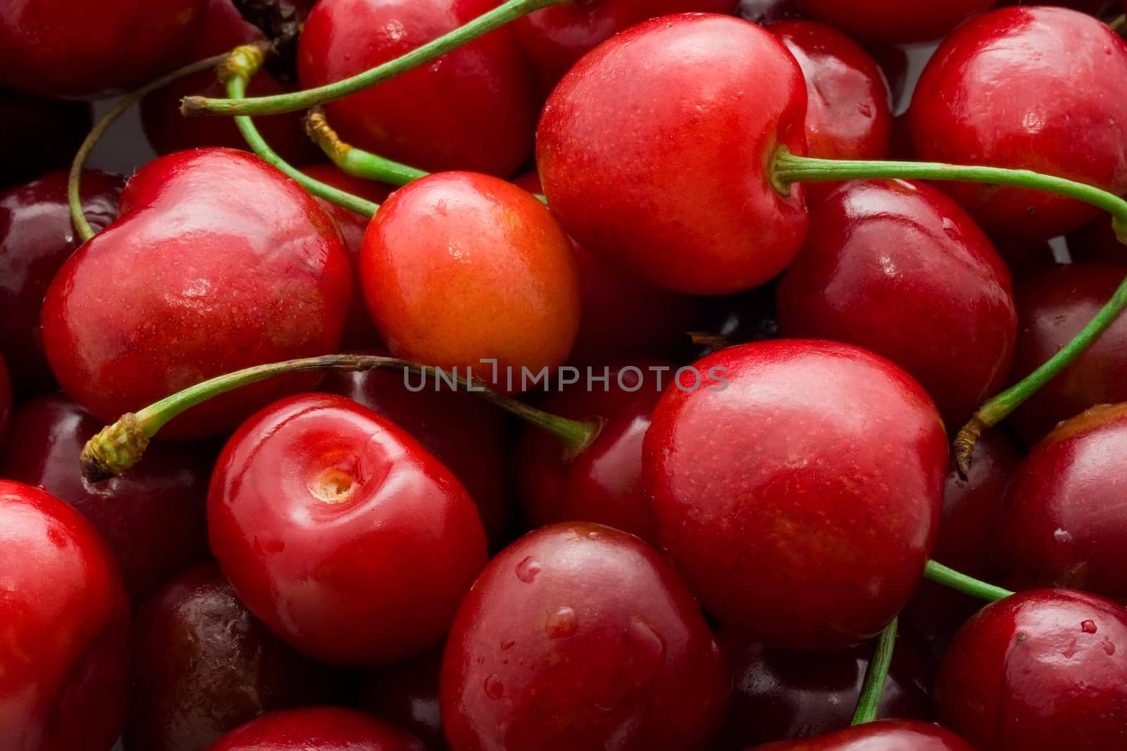 Beautiful red fresh cherry macro photo background