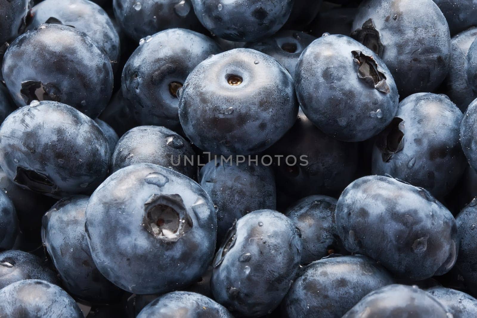 Beautiful organic background made of freshly picked blueberries