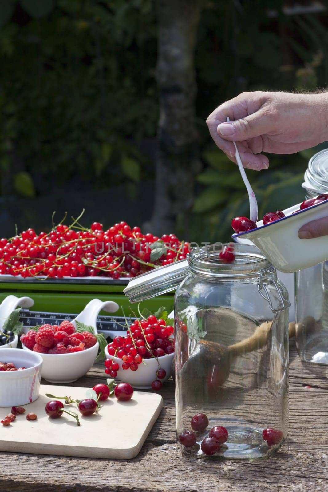 Make your own cherry liqueur,Step 4,place the washed and pitted cherries in a large preserving jar