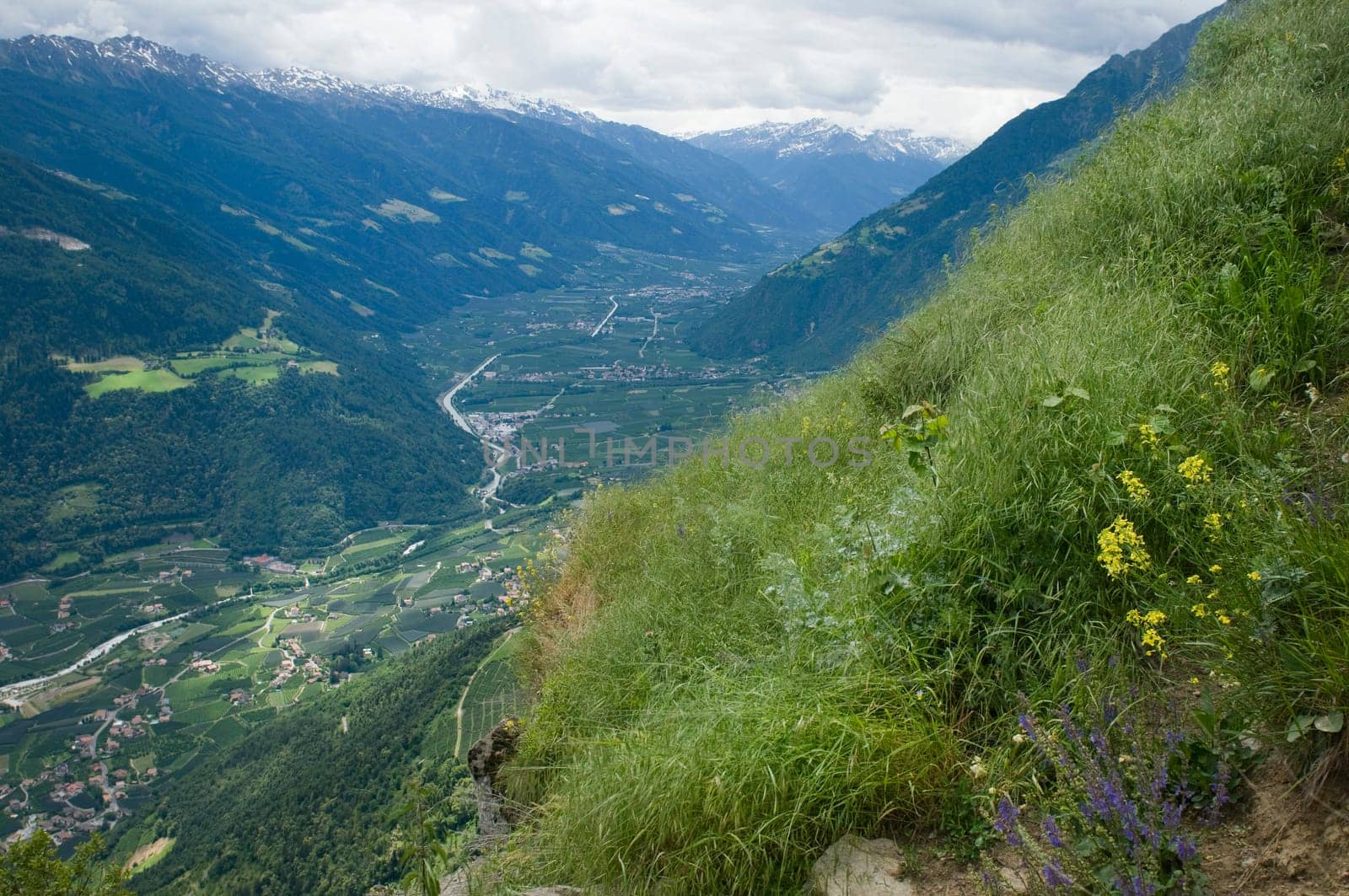 Landscape view of the Merano Valley in the direction of Bolzano photographed from a steep slope above the village of Tirol in South Tyrol in summer with a covered sky