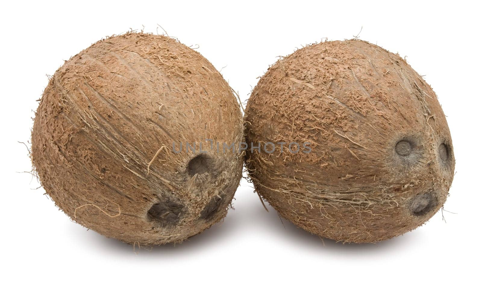 Perfect fresh coconut isolated on white background