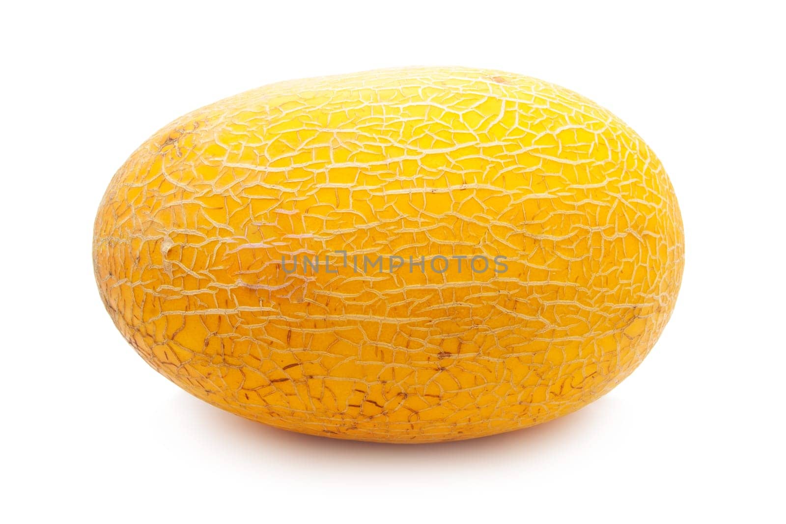 Fresh juicy melon isolated on white background