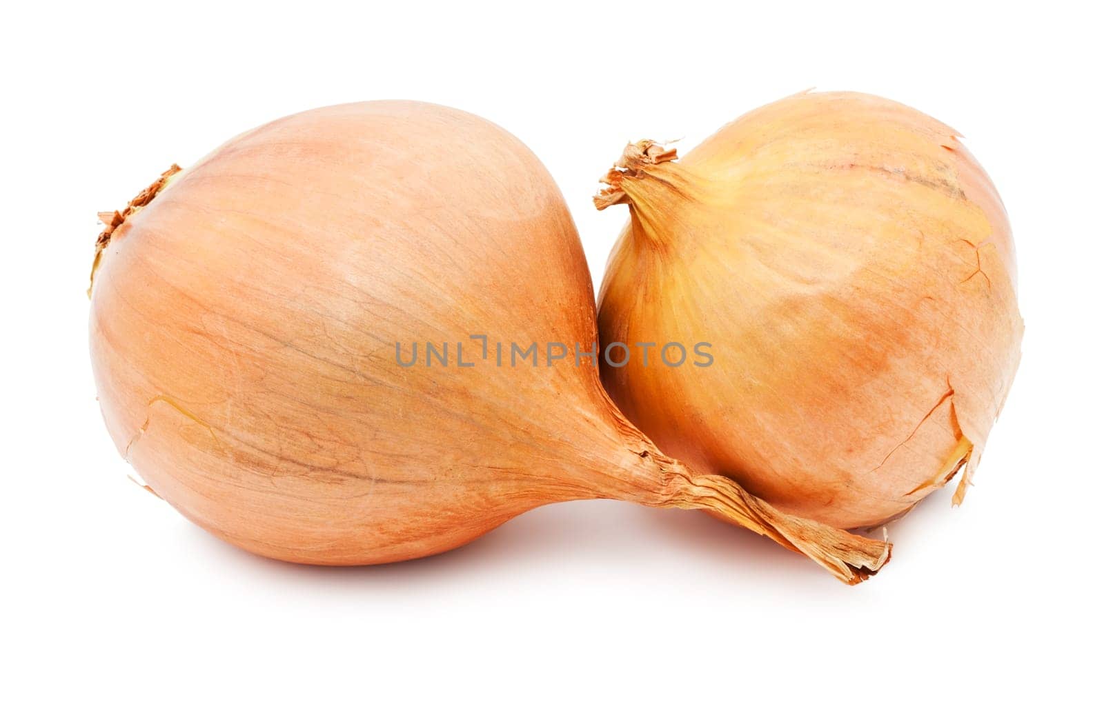 Fresh golden onion isolated on white background