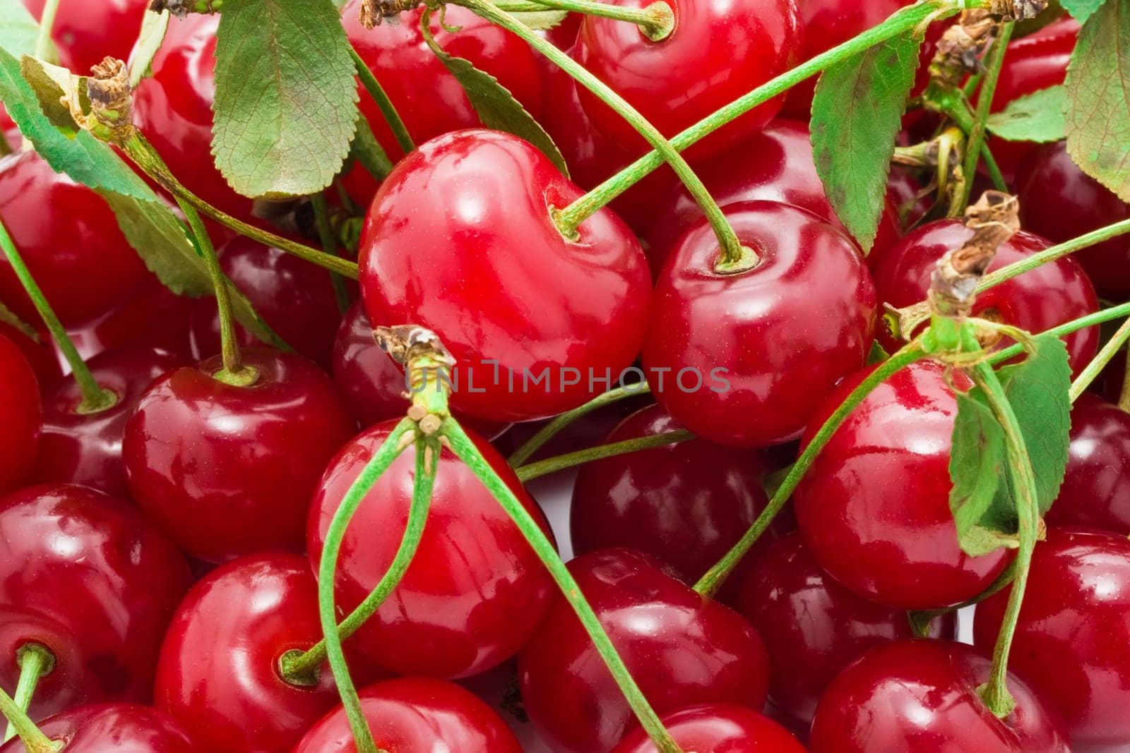 Beautiful red fresh cherry macro photo background