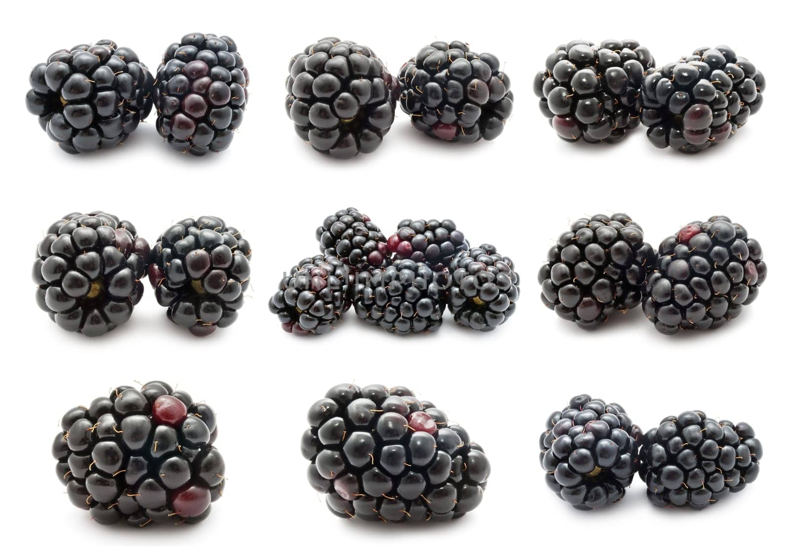 Collection of fresh blackberry isolated on white background
