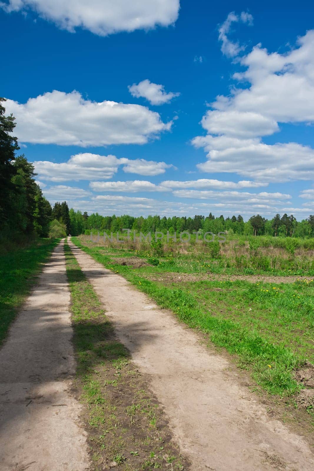 Green meadow and road under blue sky
