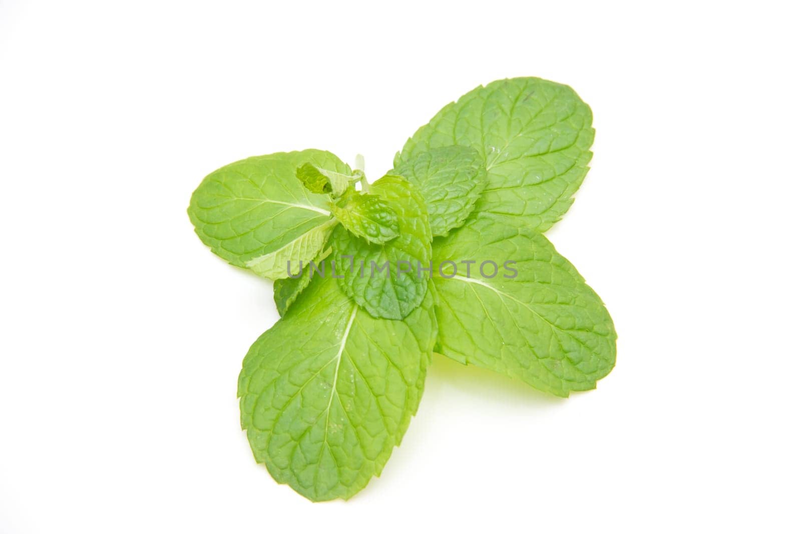 Mint