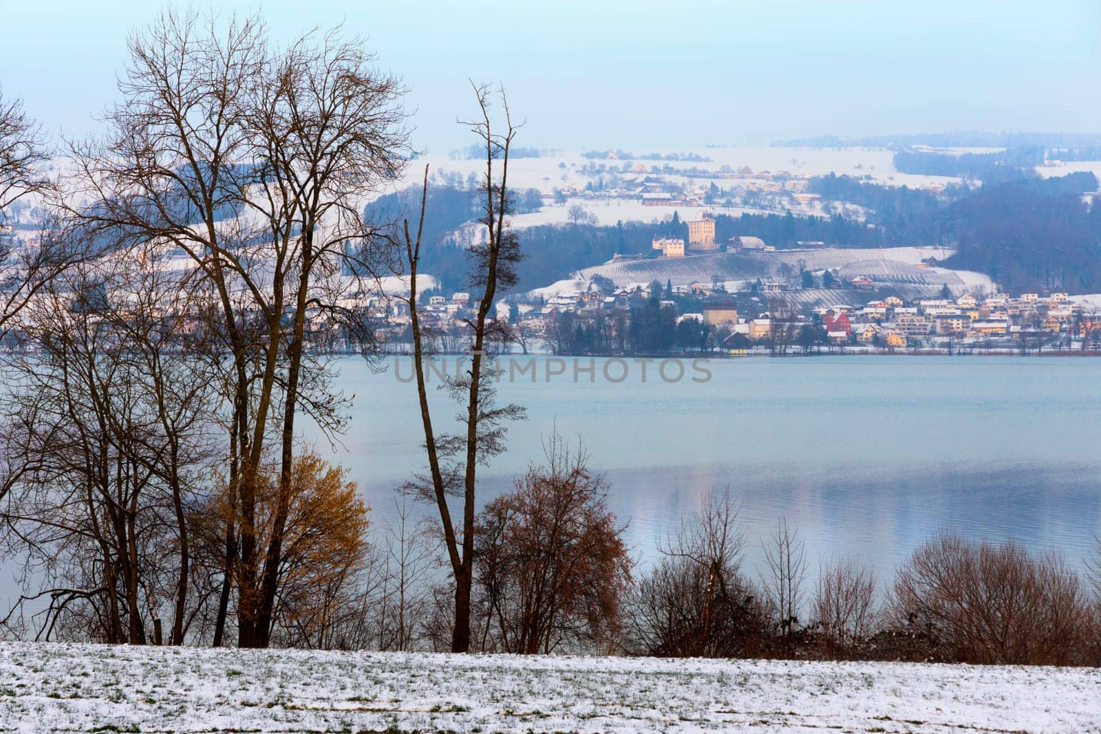 Winter at Lake Baldegger with a view of Gelfingen and the castle