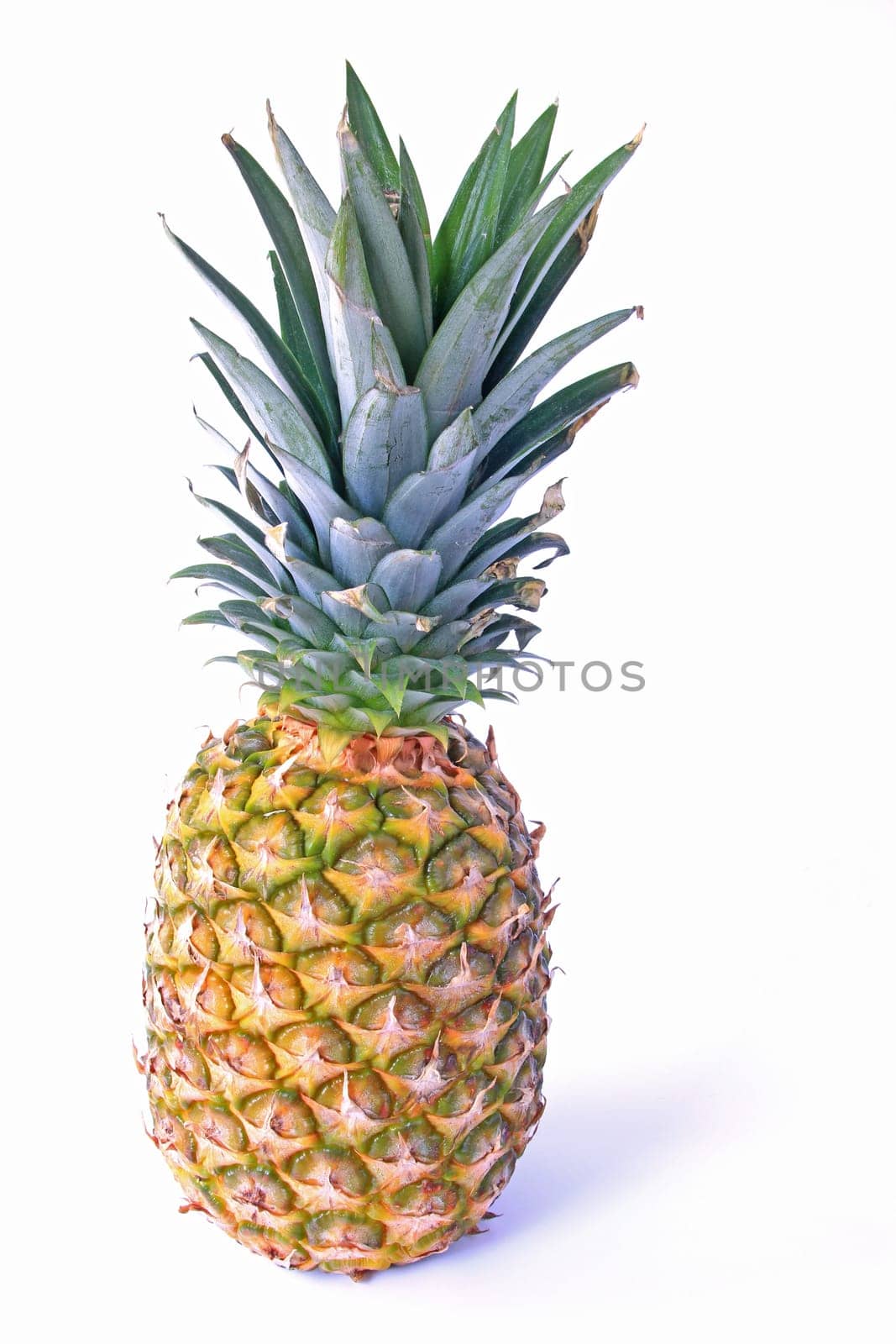 Pineapple (Ananas comosus,Ananas sativus) exposed against white background