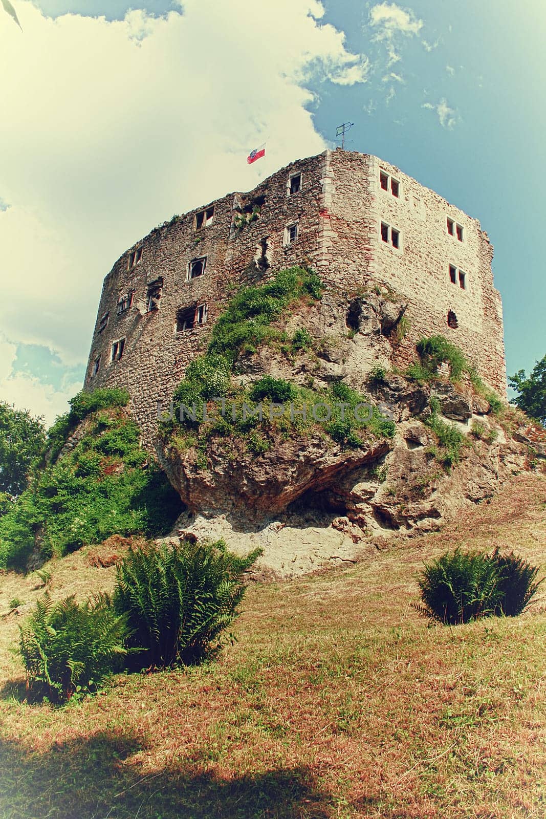 Castle ruins in Bad Liebenstein